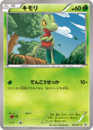 Carte Pokémon Japonaise Arcko 107/XY-P XY-P Promotional