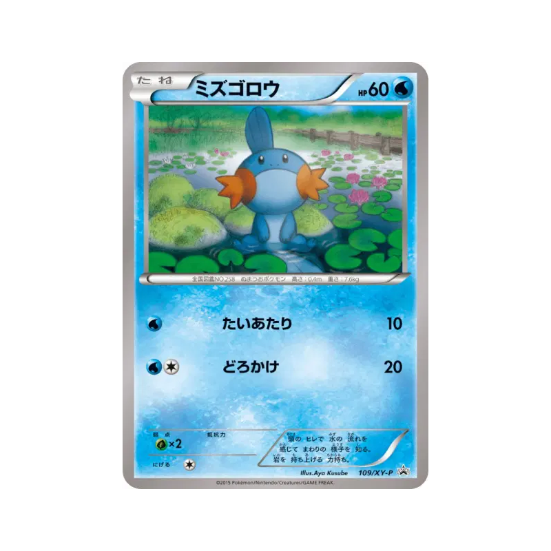 Carte Pokémon Japonaise Gobou 109/XY-P XY-P Promotional