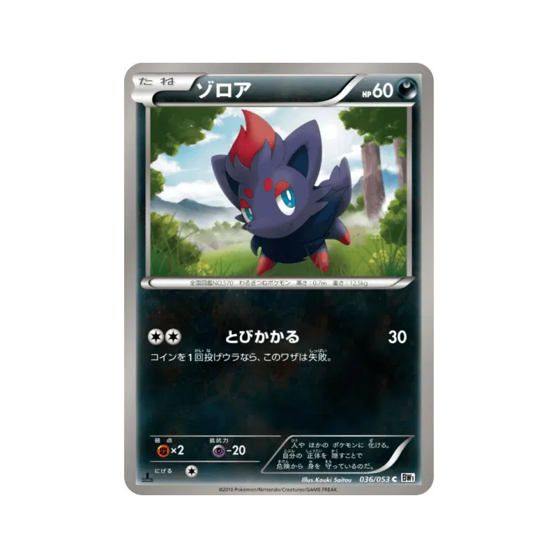 Carte Pokémon Japonaise Zorua 036/053 White Collection