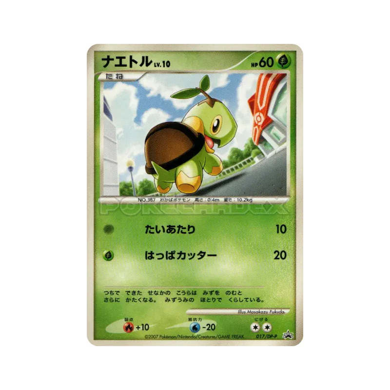 Carte Pokémon Japonaise Tortipouss 017/DP-P DP-P Promotional