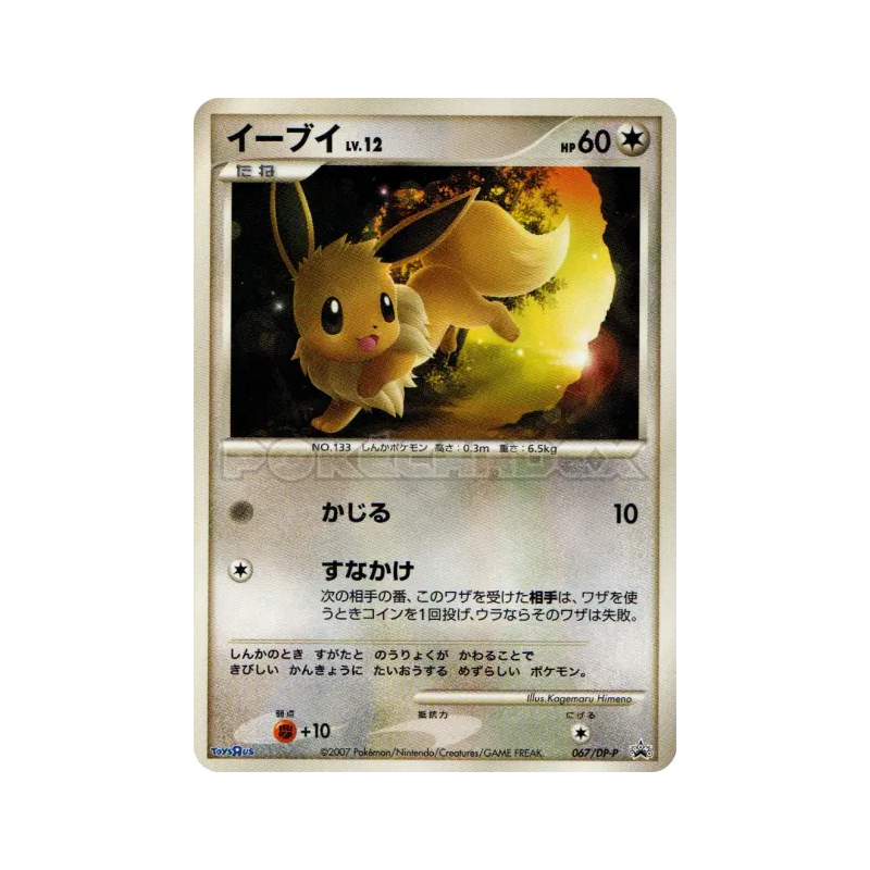 Carte Pokémon Japonaise Evoli 067/DP-P DP-P Promotional