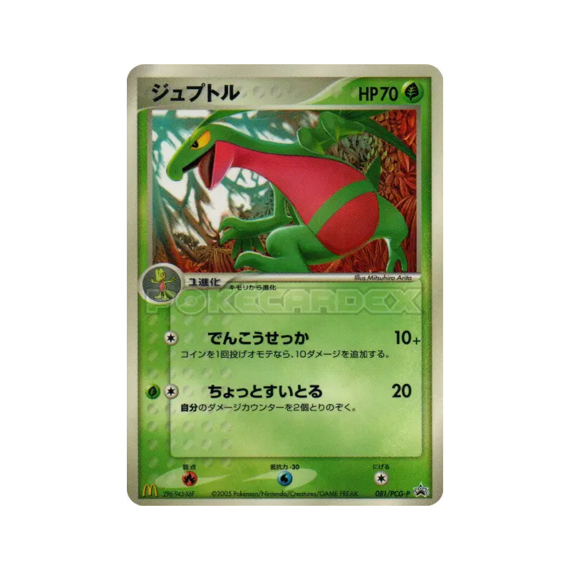 Carte Pokémon Japonaise Massko 081/PCG-P PCG-P Promotional
