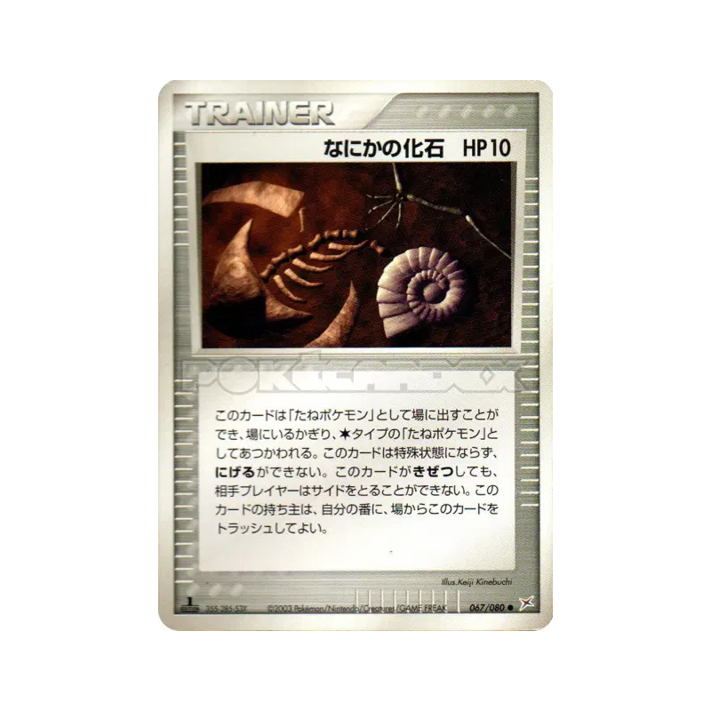 Carte Pokémon Japonaise Mystérieux Fossile 067/080 Magma VS Aqua: Two Ambitions