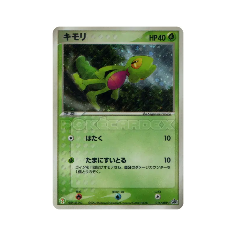 Carte Pokémon Japonaise Arcko 016/ADV-P ADV-P Promotional