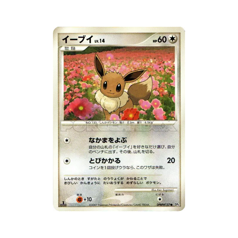 Carte Pokémon Japonaise Evoli — Dawn Dash