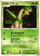 Carte Pokémon Japonaise Tropius — Secret of the Lakes