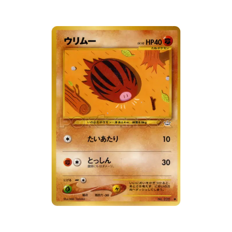 Carte Pokémon Japonaise Marcacrin — Awakening Legends