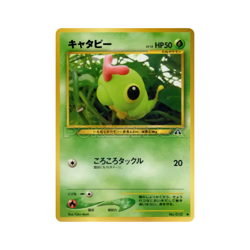 Carte Pokémon Japonaise Chenipan — Crossing the Ruins...