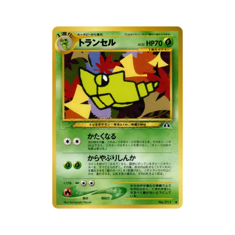 Carte Pokémon Japonaise Chrysacier — Crossing the Ruins...
