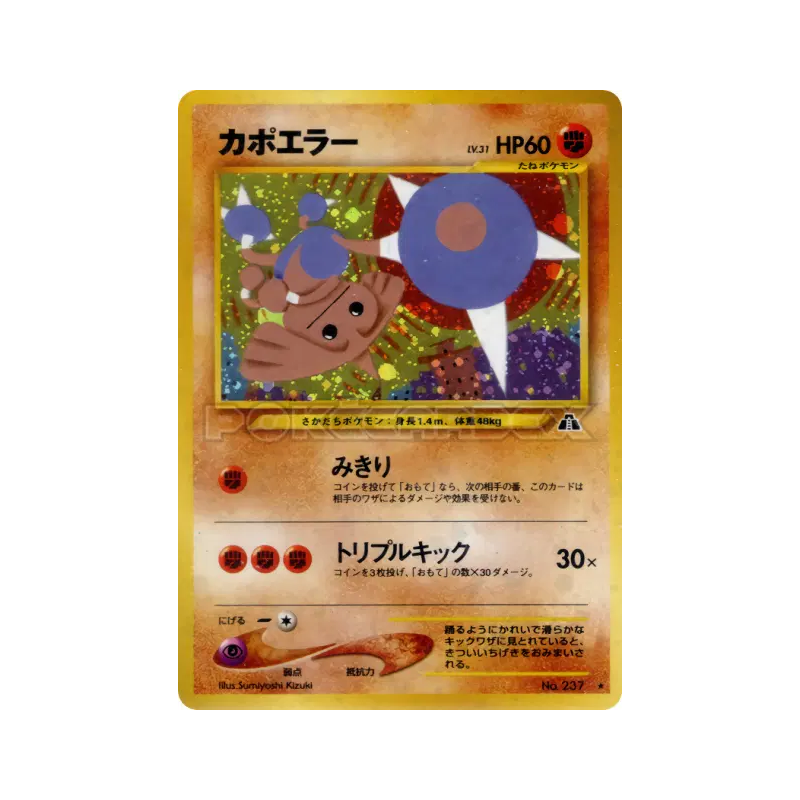 Carte Pokémon Japonaise Kapoera — Crossing the Ruins...