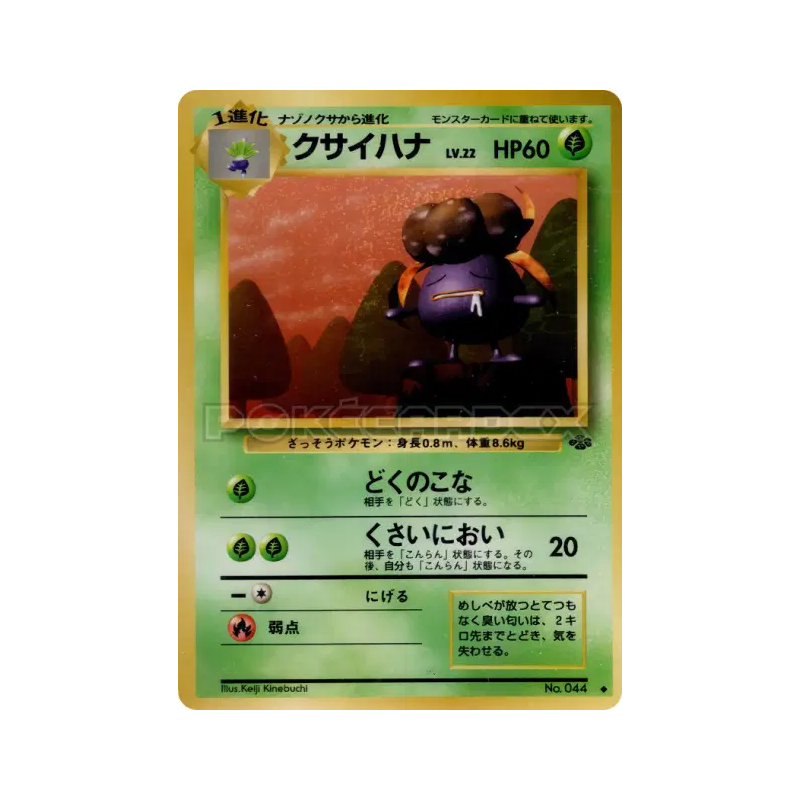 Carte Pokémon Japonaise Ortide — Pokémon Jungle