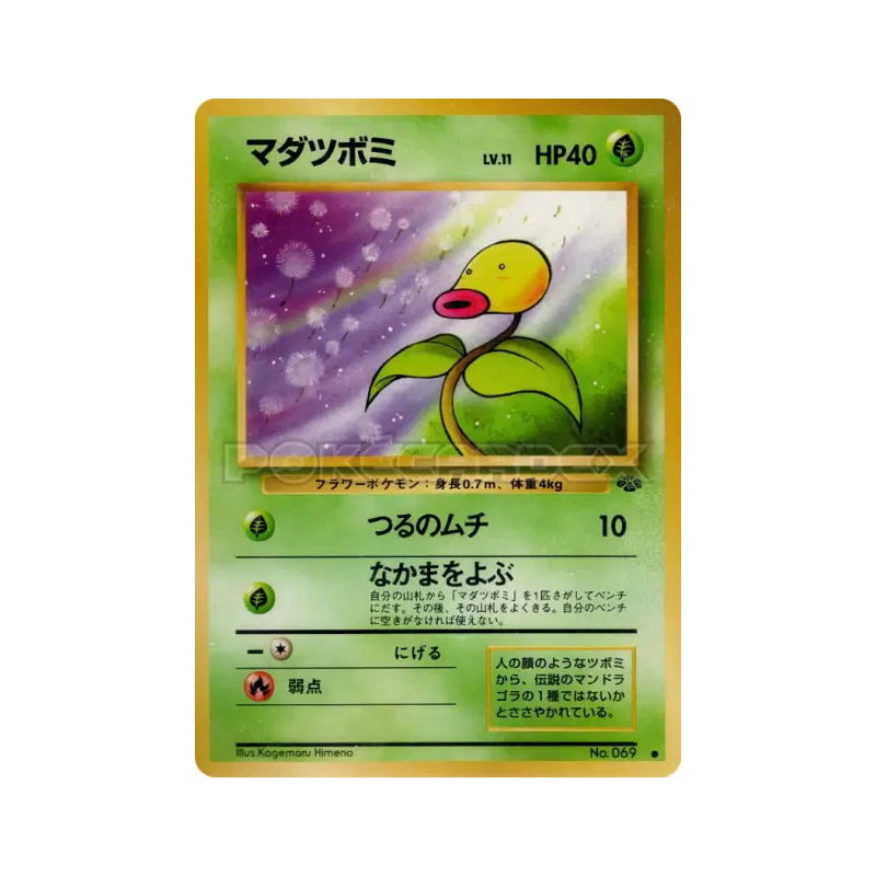 Carte Pokémon Japonaise Chétiflor — Pokémon Jungle