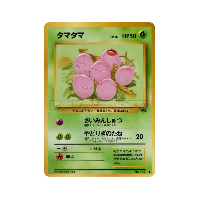 Carte Pokémon Japonaise Noeunoeuf — Pokémon Jungle