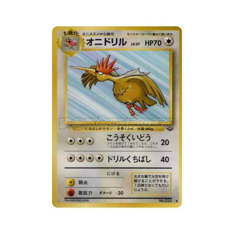Carte Pokémon Japonaise Rapasdepic — Pokémon Jungle