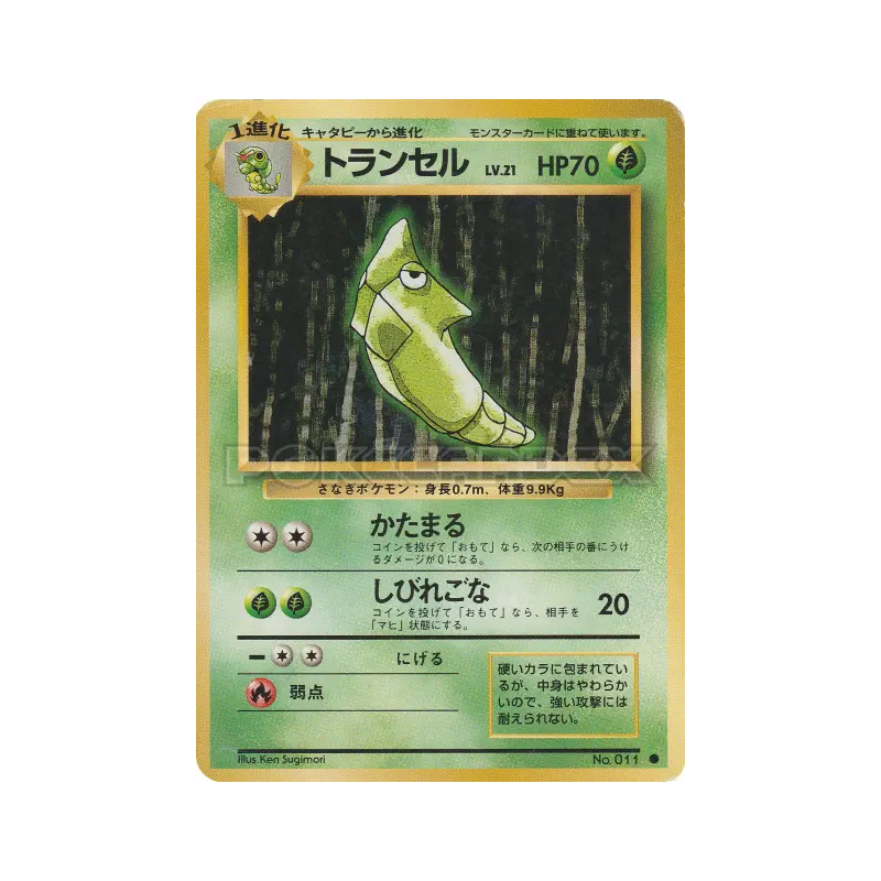 Carte Pokémon Japonaise Chrysacier — Expansion Pack