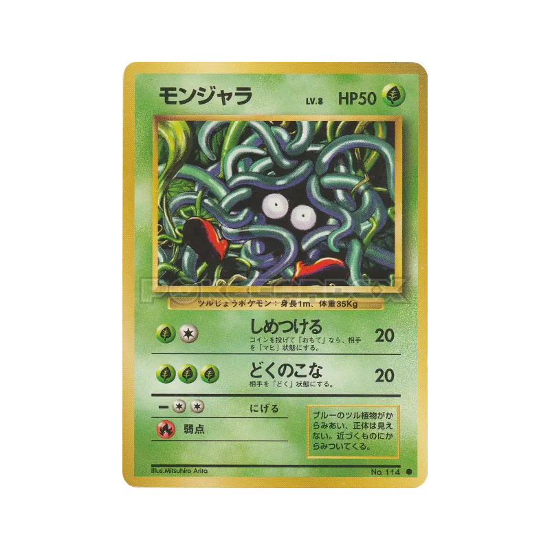 Carte Pokémon Japonaise Saquedeneu — Expansion Pack