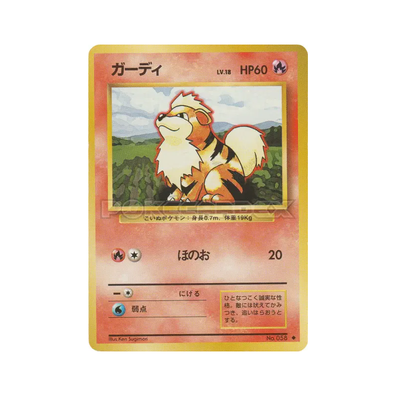 Carte Pokémon Japonaise Caninos — Expansion Pack