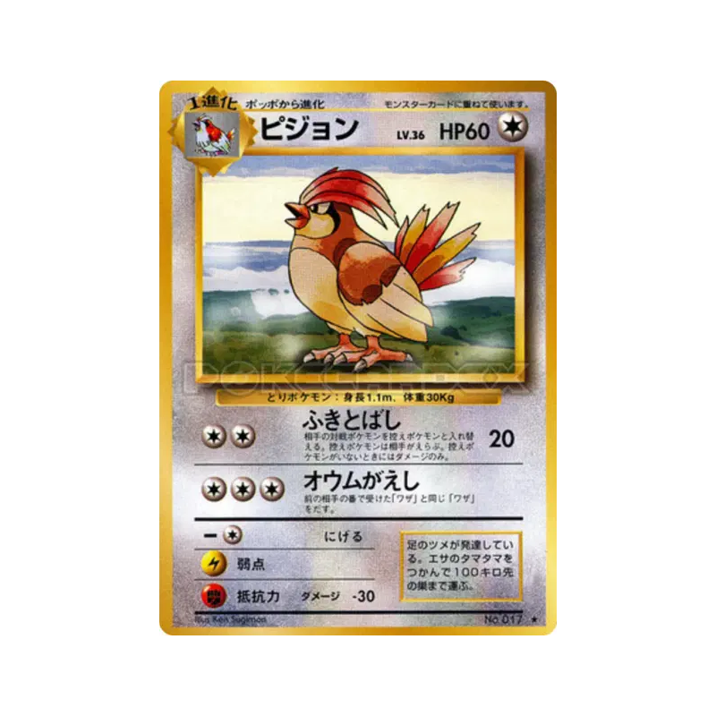 Carte Pokémon Japonaise Roucoups — Expansion Pack