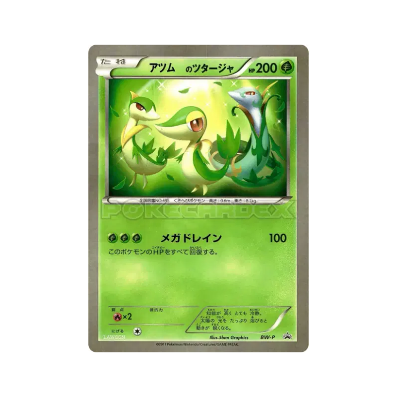 Carte Pokémon Japonaise Vipélierre de _____ / Jumbo