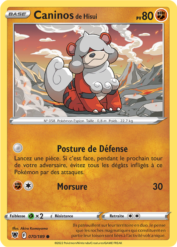 Carte Pokémon Caninos de Hisui 070/189 Commune Astres Radieux