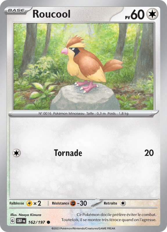 Carte Pokémon Roucool 162/197 Commune Flammes Obsidiennes