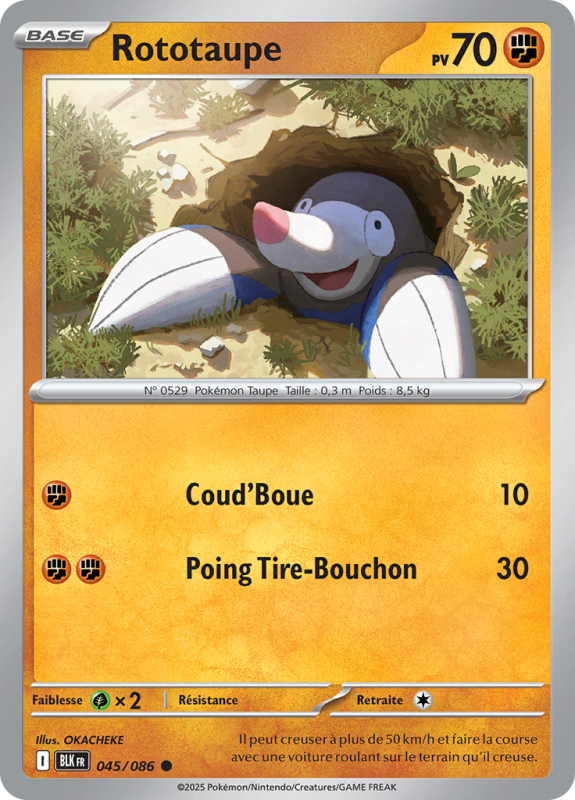 Carte Pokémon Rototaupe 045/086 Commune Foudre Noire