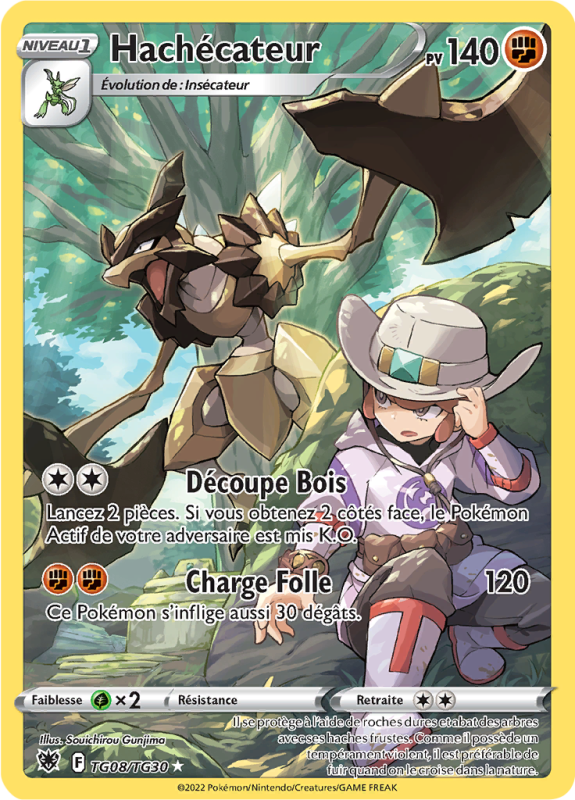 Carte Pokémon Hachécateur TG08/TG30 Trainer Gallery Astres Radieux