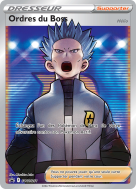 Carte Pokémon Ordres du Boss SWSH251 Promo SWSH