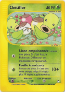 Carte Pokémon Chétiflor 68/147 Commune Aquapolis