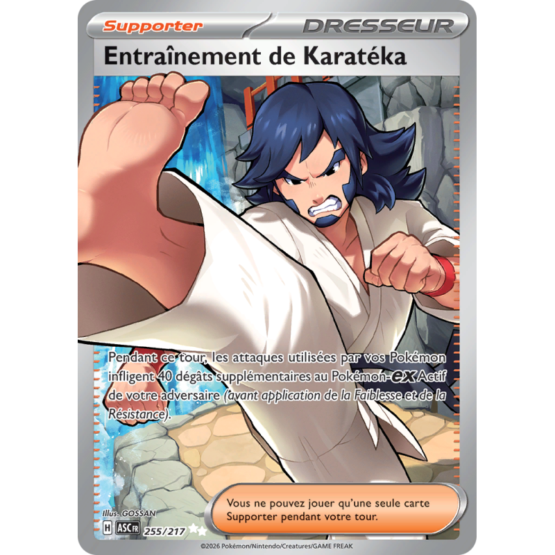 Carte Pokémon Entraînement de Karatéka 255/217 Ultra Rare Héros Transcendants