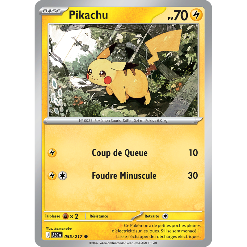 Carte Pokémon Pikachu 055/217 Commune Héros Transcendants