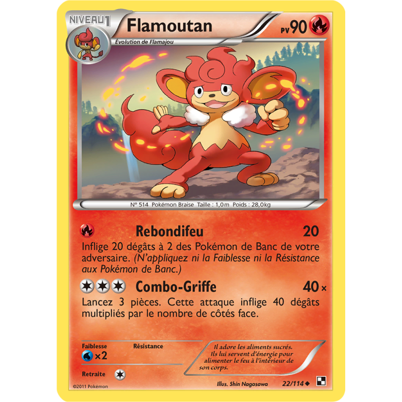 Carte Pokémon Flamoutan 22/114 Peu commune Noir & Blanc (JCC)