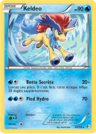 Carte Pokémon Keldeo 48/149 Rare Frontières Franchies