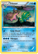 Carte Pokémon Tritosor 29/114 Rare Offensive Vapeur