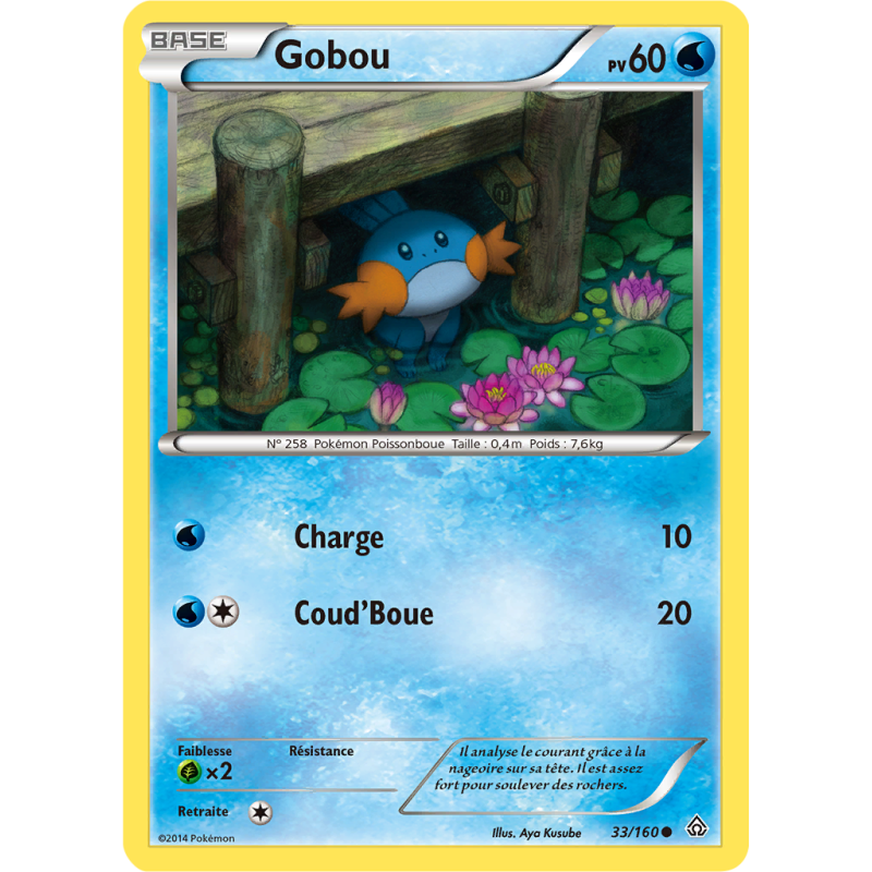 Carte Pokémon Gobou 33/160 Commune Primo-Choc