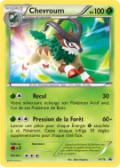 Carte Pokémon Chevroum XY16 Promo XY