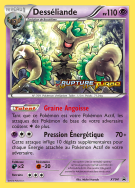 Carte Pokémon Desséliande XY94 Promo XY