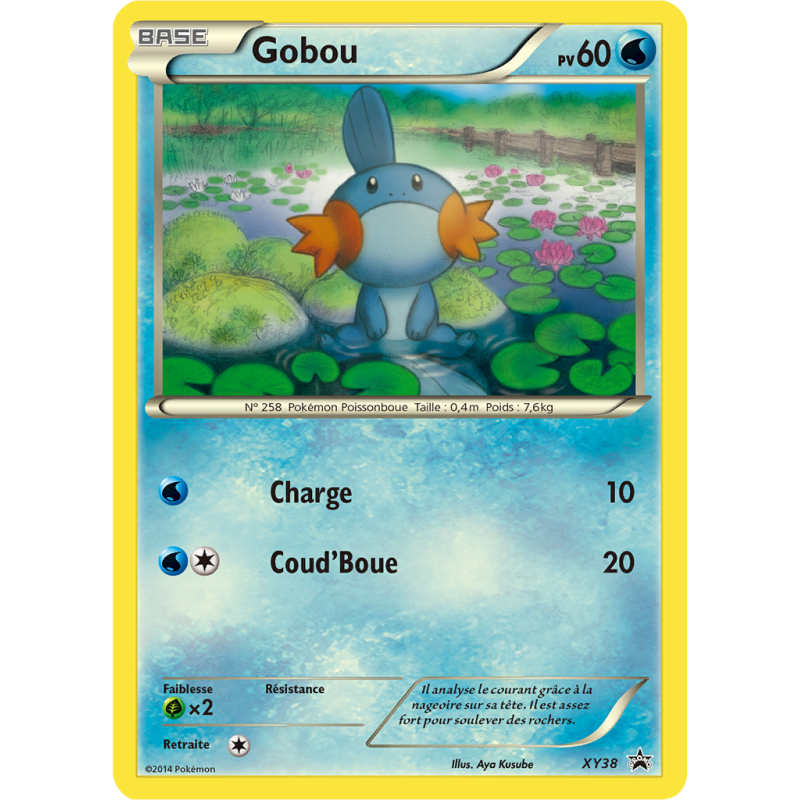 Carte Pokémon Gobou XY38 Promo XY