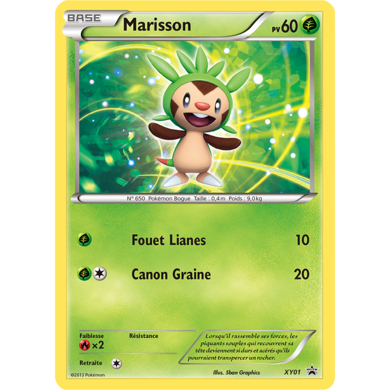 Carte Pokémon Marisson XY01 Promo XY