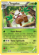 Carte Pokémon Tengalice XY23 Promo XY