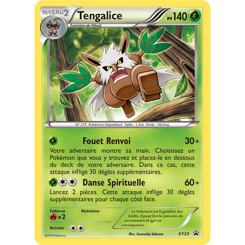 Carte Pokémon Tengalice XY23 Promo XY