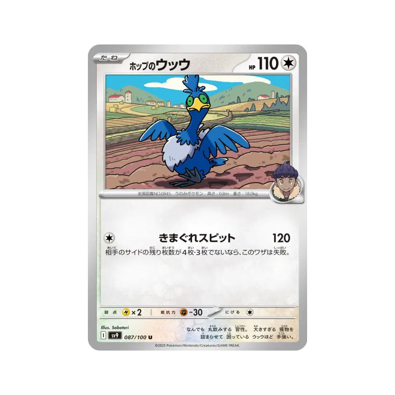 Carte Pokémon Japonaise Nigosier de Nabil 087/100 Battle Partners
