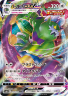 Carte Pokémon Japonaise Boréas-VMAX 058/070 Silver Lance