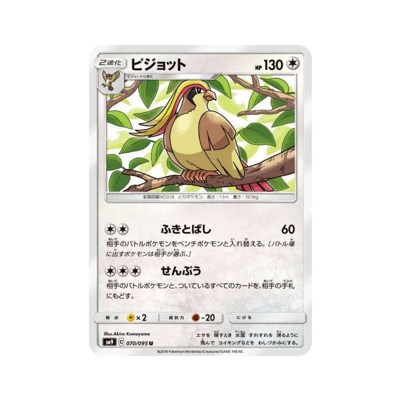 Carte Pokémon Japonaise Roucarnage 070/095 Tag Bolt