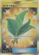 Carte Pokémon Japonaise Herbe sauveuse 084/066 Champion Road