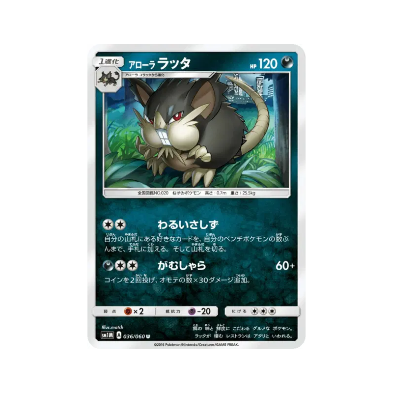 Carte Pokémon Japonaise Rattatac d'Alola 036/060 Collection Moon