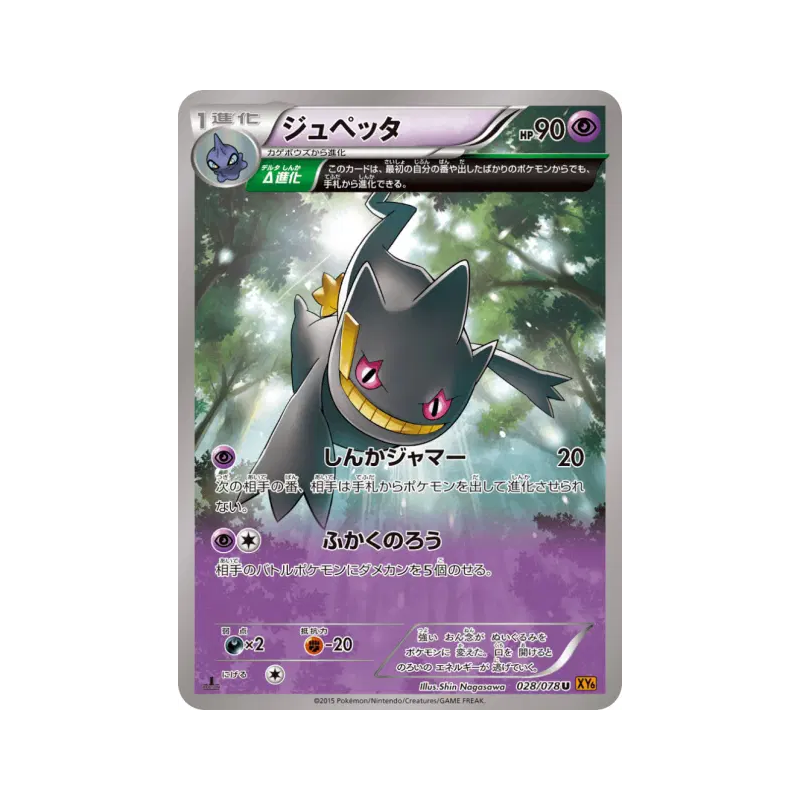 Carte Pokémon Japonaise Branette 028/078 Emerald Break