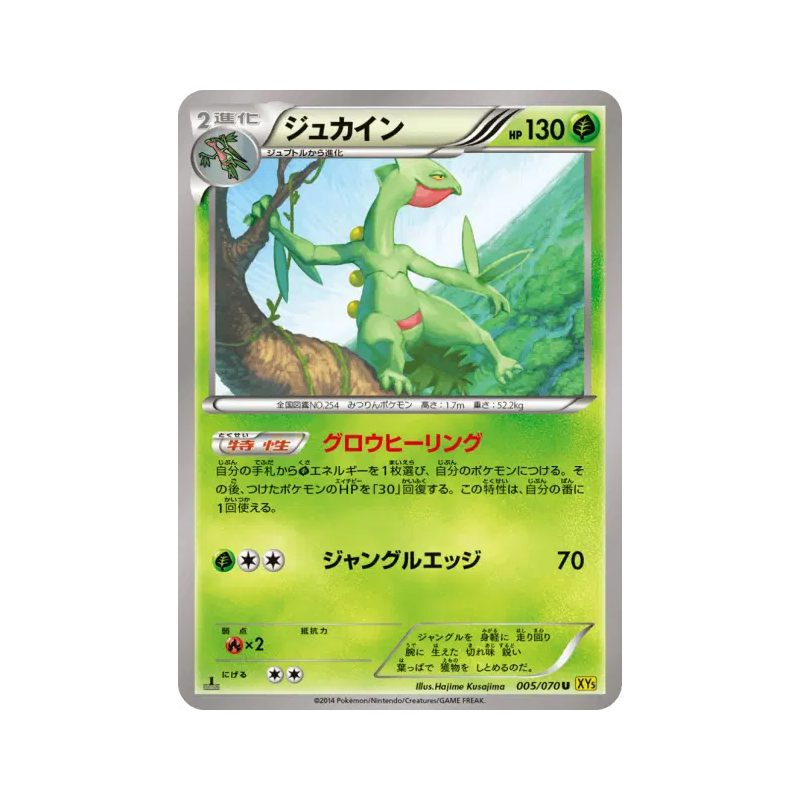 Carte Pokémon Japonaise Jungko 005/070 Gaia Volcano